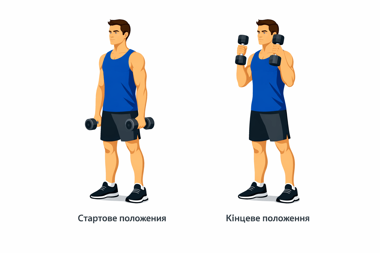 Молоткові згинання з гантелями для рук вдома