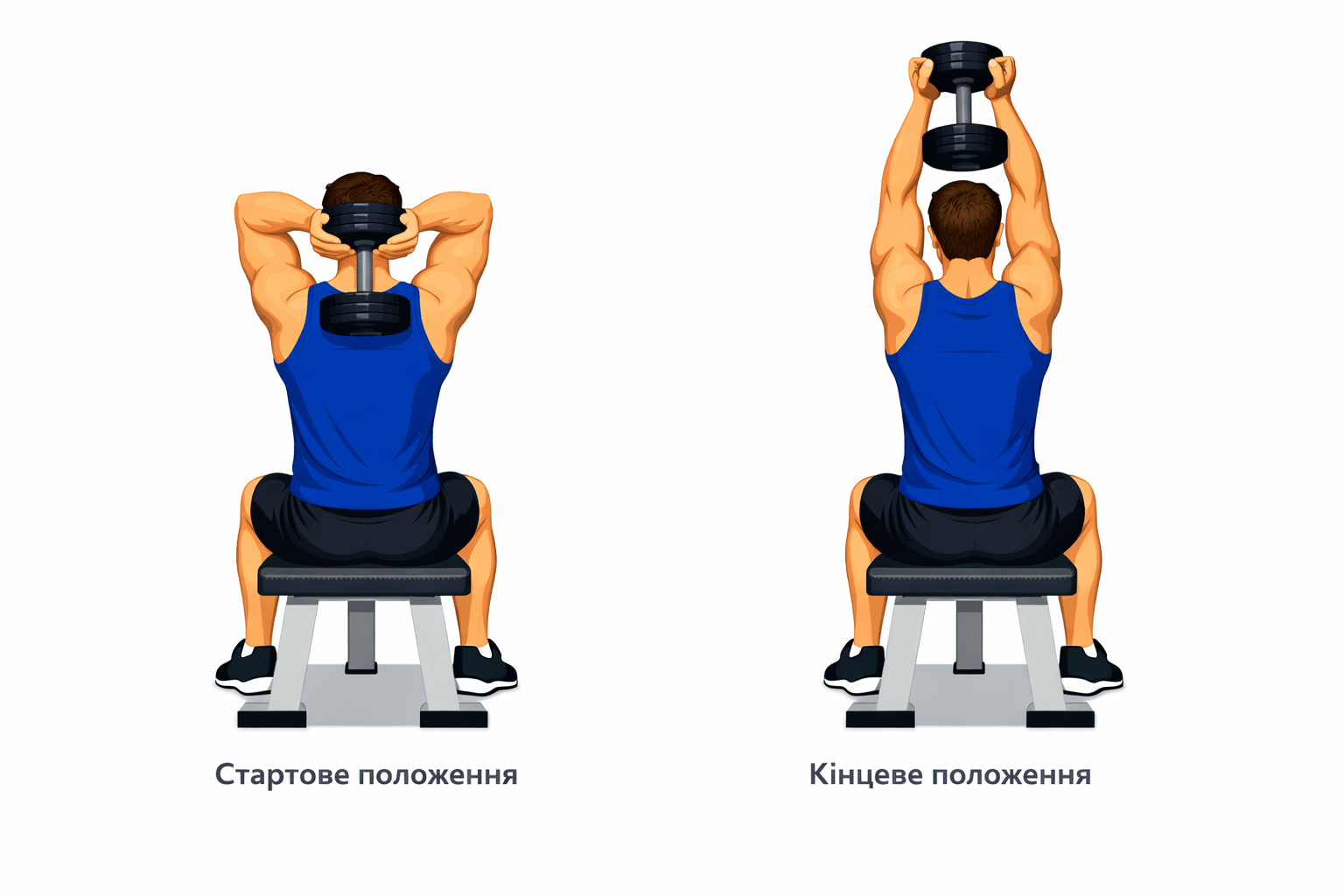 Жим гантелі з-за голови на трицепс для домашнього тренування рук