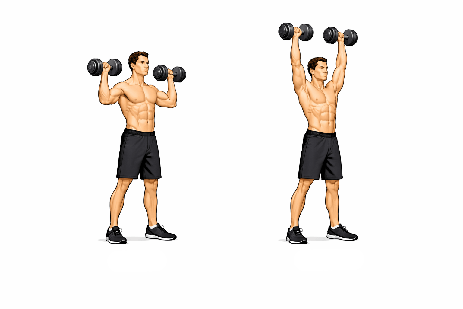 Жим гантелей над головою для плечей Жим гантелей над головою для плечей